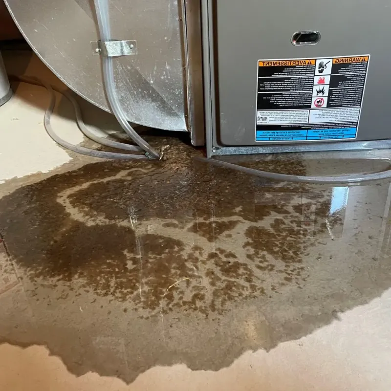 Pipe Burst and Leak Restoration in Colchester, CT