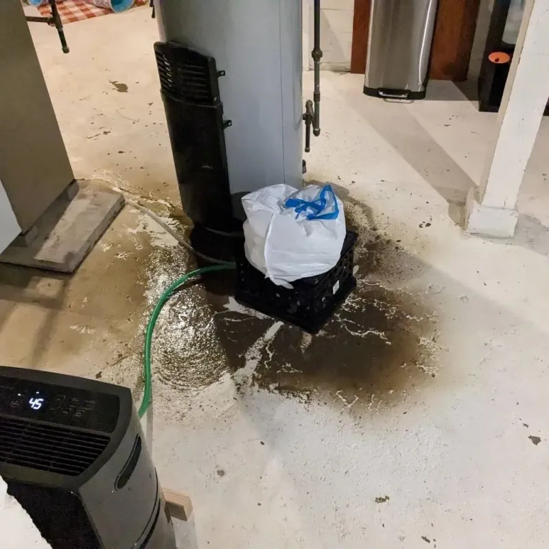 Sewage Backup Cleanup Service in Colchester, CT